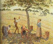 Pick  Apples Camille Pissarro